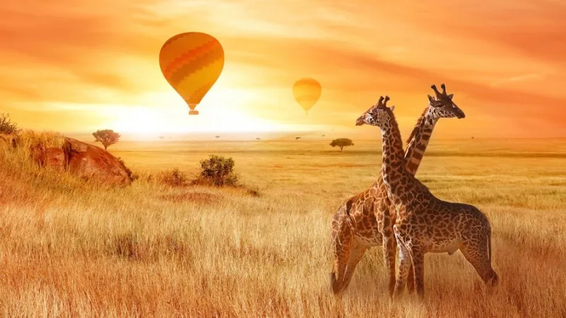 Balloons over the plains