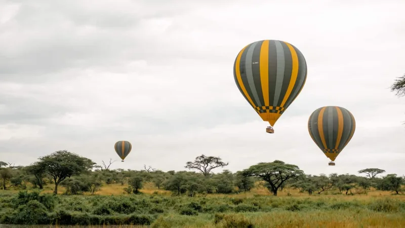 7-Day Luxury Fly-In & Hot Air Balloon Safari