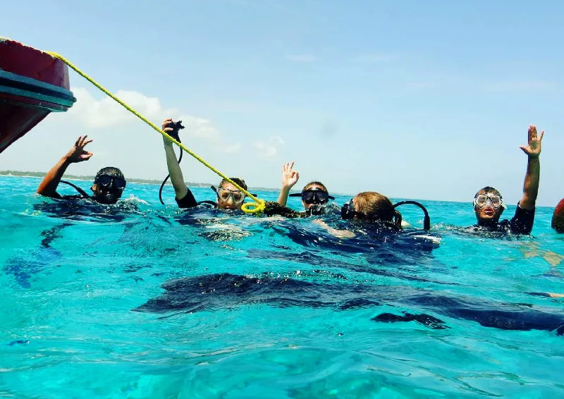 Diving & Bubble Boat Cruise