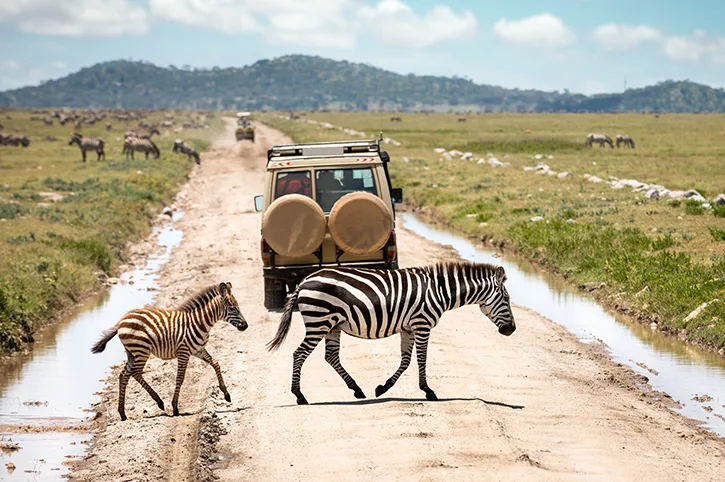 15-Day Wonderful Adventure Combo Safari